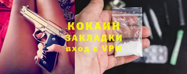 индика Каменка