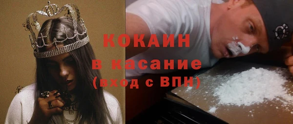 индика Каменка