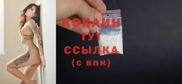 индика Каменка