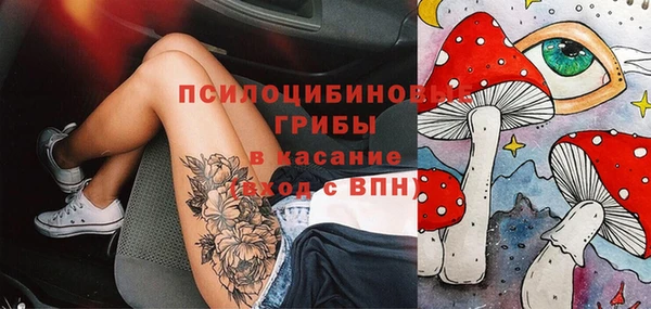 крисы Каменногорск