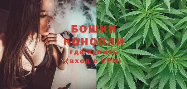 индика Каменка