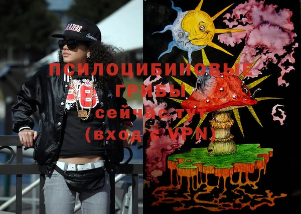 индика Каменка