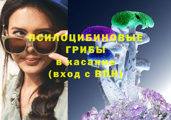 наркотики Инсар